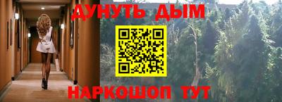 индика Лесосибирск