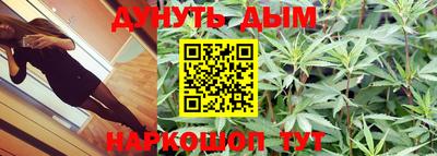 индика Лесосибирск