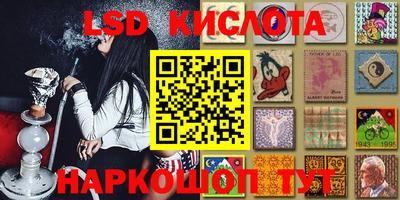 индика Лесосибирск