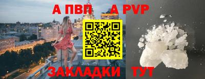 индика Лесосибирск