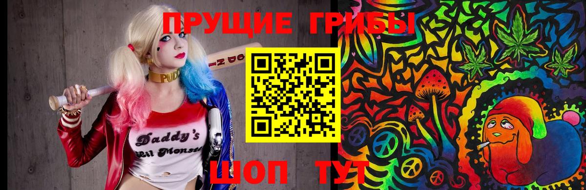 Псилоцибиновые грибы мицелий  Вход с VPN  Галлюциногенные грибы мицелий  Дмитров 